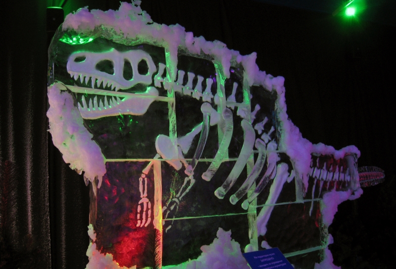 20110313_IceMuseum_007